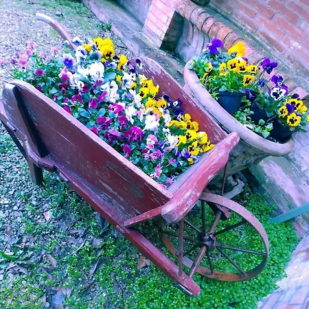 Bed & Breakfast Galluzzo Ancient Country 2*