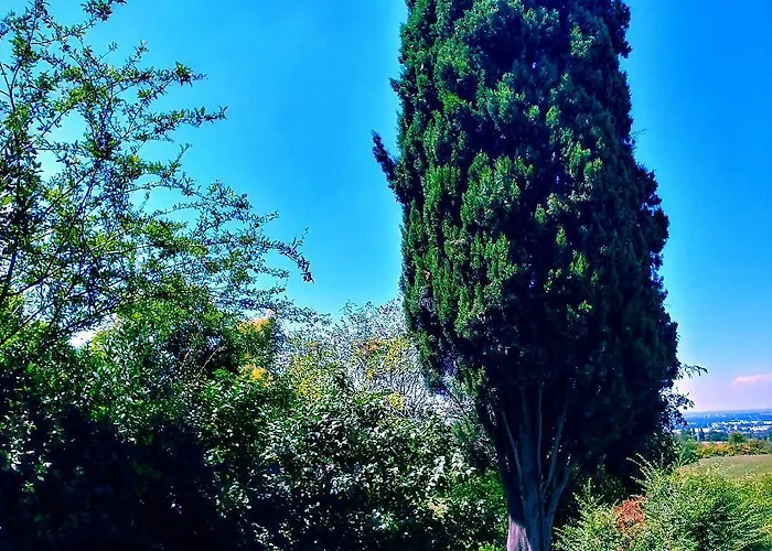 Galluzzo Ancient Country Bed & Breakfast Casalecchio Di Reno