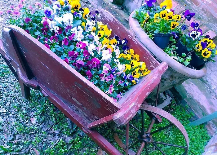 Bed & Breakfast Galluzzo Ancient Country 2*