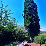 Galluzzo Ancient Country Bed & Breakfast Casalecchio Di Reno