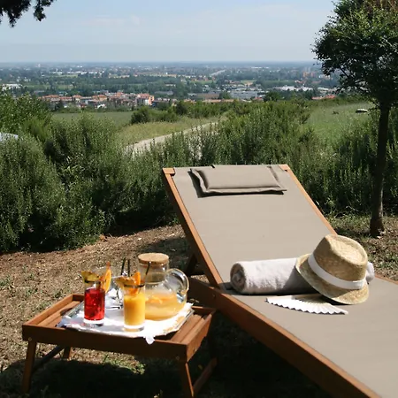 Galluzzo Ancient Country 2*