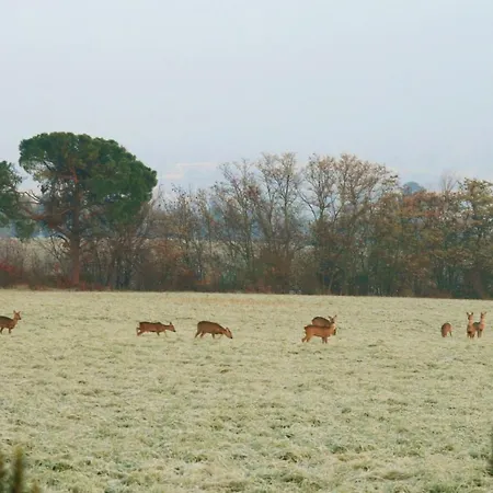 Galluzzo Ancient Country ベッド・アンド・ブレックファスト 2*