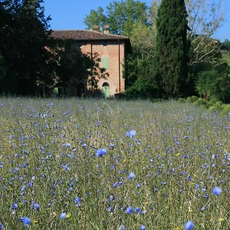 Galluzzo Ancient Country 2*