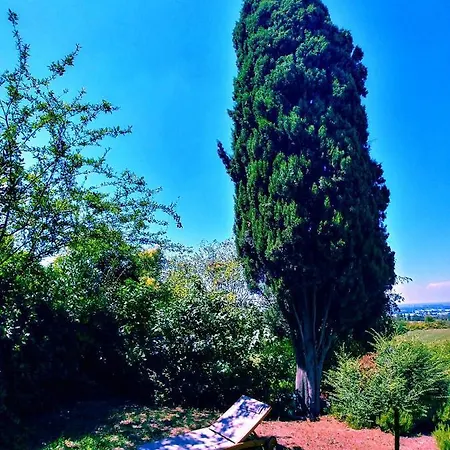 Galluzzo Ancient Country Bed and Breakfast
