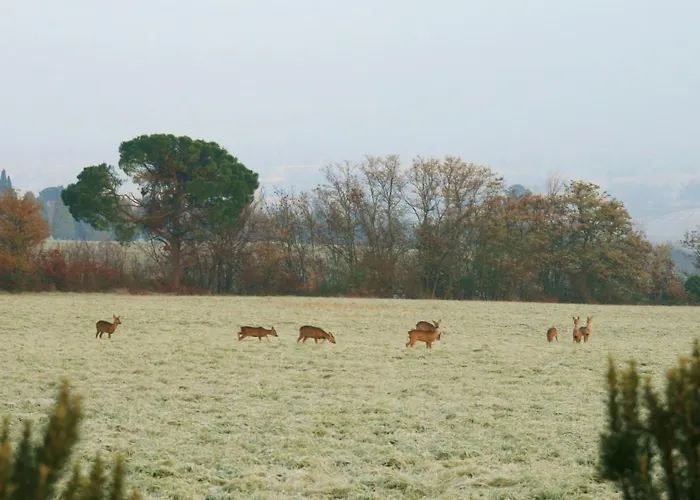 Galluzzo Ancient Country B&B 2*