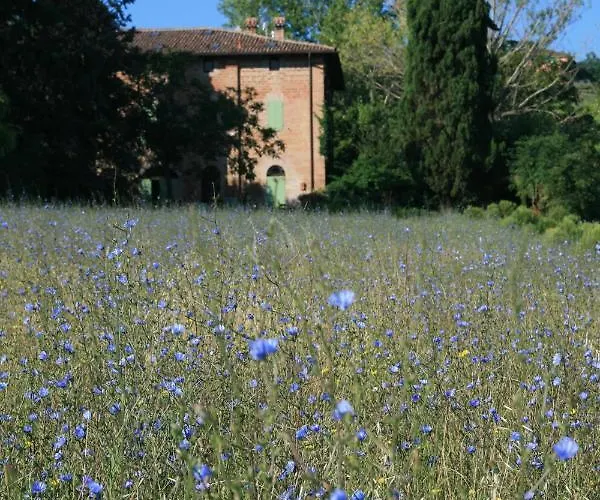 Galluzzo Ancient Country 2*